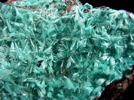 Aurichalcite from Mina Ojuela, Mapimi, Durango, Mexico