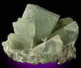 Fluorite from Kuiu Island, Rocky Pass Area, Alaska