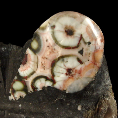 Thomsonite from Grand Marais, north shore of Lake Superior, Minnesota