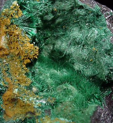 Malachite on Cuprite from Mineral Hill, New South Wales, Australia