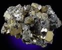 Pyrite and Galena from Huanzala Mine, Huallanca District, Huanuco Department, Peru