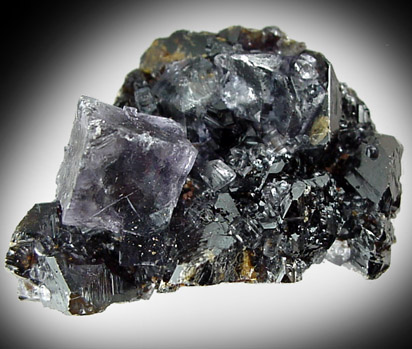 Fluorite on Sphalerite from Elmwood Mine, Carthage, Smith County, Tennessee