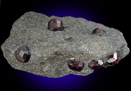 Almandine Garnet in Mica Schist from Garnet Ledge, east shore of Stikine River Delta, 11 km north of Wrangell, Alaska