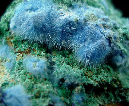 Cyanotrichite with Brochantite from Grandview Mine, Coconino County, Arizona