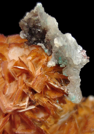 Barite with Celestine from (Naica Mine?), Chihuahua, Mexico