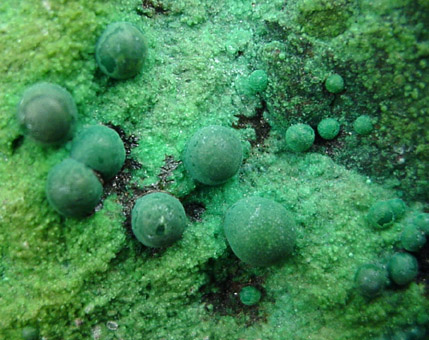 Chrysocolla from Ray Mine, Mineral Creek District, Pinal County, Arizona