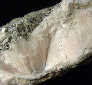 Natrolite from Kibblehause Quarry, Perkiomenville, Pennsylvania