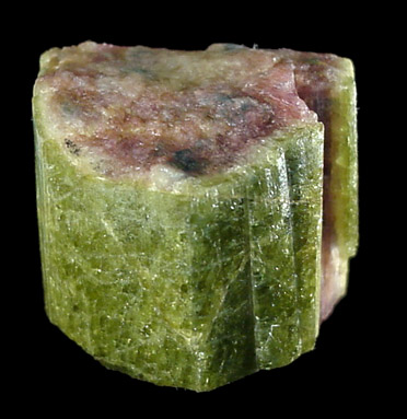 Elbaite var. Watermelon Tourmaline from Shamrock Mine, Black Hills, South Dakota