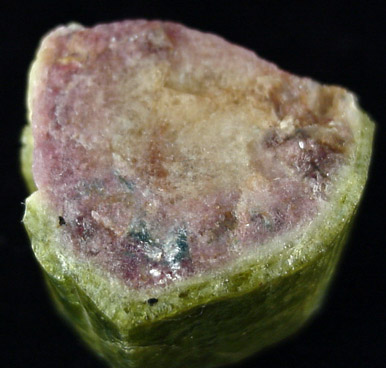 Elbaite var. Watermelon Tourmaline from Shamrock Mine, Black Hills, South Dakota