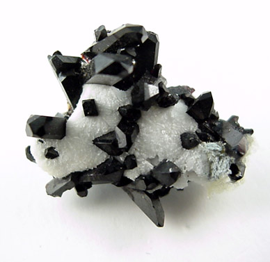 Neptunite in Natrolite from Benitoite Gem Mine, San Benito County, California