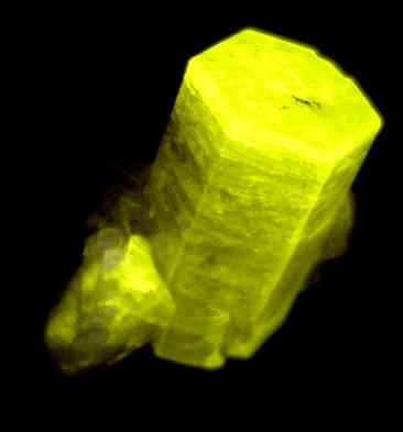 Fluorapatite with Muscovite from near Dusso, Gilgit-Baltistan, Pakistan