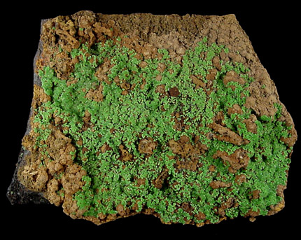 Conichalcite from Mina Ojuela, Mapimi, Durango, Mexico