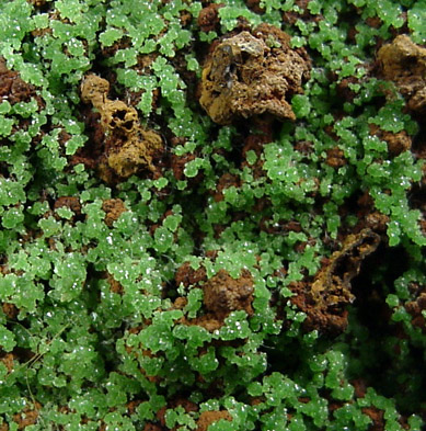 Conichalcite from Mina Ojuela, Mapimi, Durango, Mexico