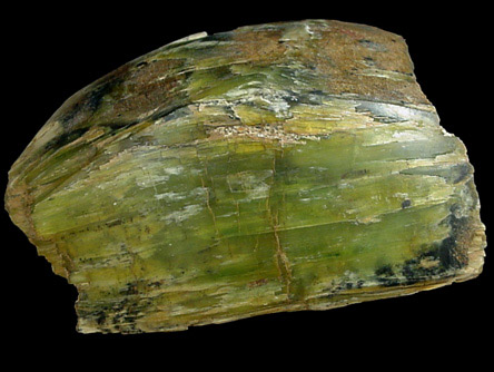 Antigorite (Serpentine) from Yancy County, North Carolina