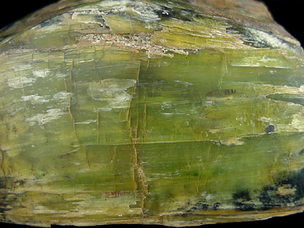 Antigorite (Serpentine) from Yancy County, North Carolina