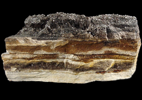 Quartz on Petrified Wood from Lake Jordan Area, Elmore County, Alabama