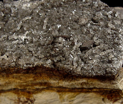 Quartz on Petrified Wood from Lake Jordan Area, Elmore County, Alabama