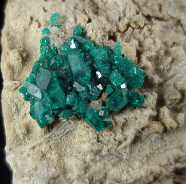 Dioptase on Calcite from Altyn-Tyube, 66 km east of Karagandy, Karaganda Oblast', Kazakhstan (Type Locality for Dioptase)