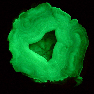 Quartz var. Chalcedony (fluorescent) from Yankee Dog Claim, Hidalgo County, New Mexico