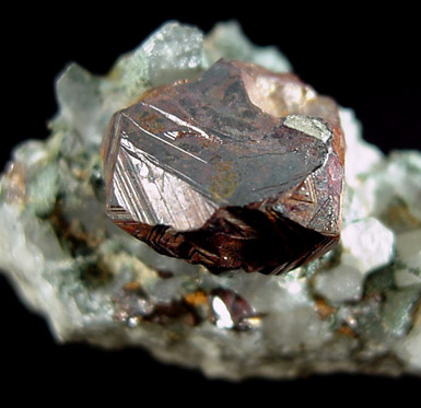 Pyrite on Quartz from Breckenridge, Summit County, Colorado