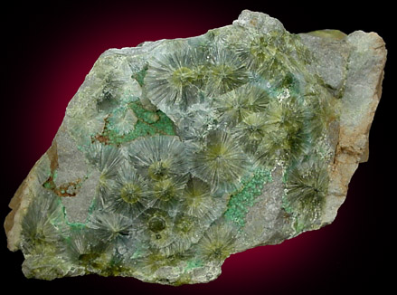 Wavellite from Dug Hill, Garland County, Arkansas