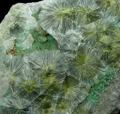 Wavellite from Dug Hill, Garland County, Arkansas