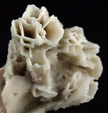 Quartz pseudomorphs after Glauberite from Houdaille Quarry (Consolidated Quarry), Little Falls Twp., north of Montclair State University, Essex County, New Jersey