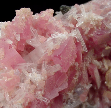 Rhodochrosite on Quartz from Sweet Home Mine, Buckskin Gulch, Alma District, Park County, Colorado