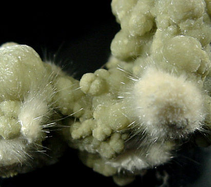 Gyrolite and Okenite from Bombay Quarry, Mumbai (Bombay), Maharastra, India