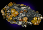 Mimetite var. Campylite from Caldbeck Fells, English Lake District, Cumberland, England