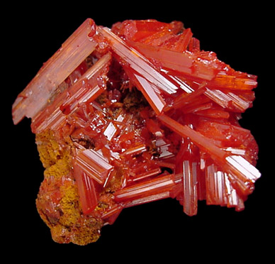 Crocoite from Red Ledge Mine, Tasmania, Australia