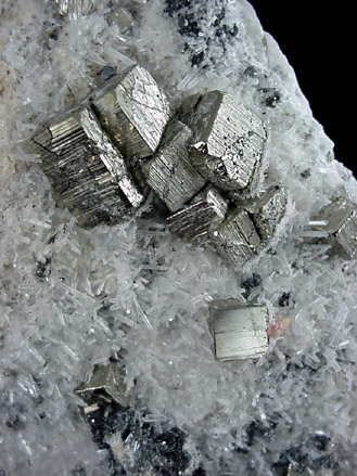 Pyrite on Quartz from Sweet Home Mine, Buckskin Gulch, Alma District, Park County, Colorado