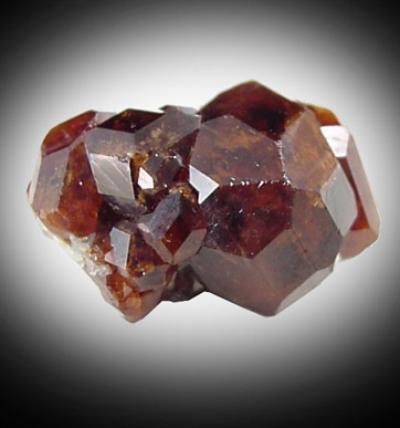 Grossular Garnet from KST Claims, near Barrierre, British Columbia, Canada