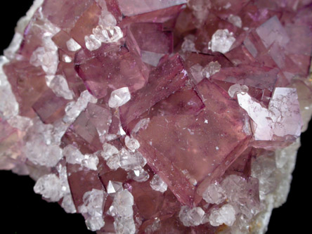 Fluorite with Quartz from Highway 17 road cut, Rossport, Ontario, Canada