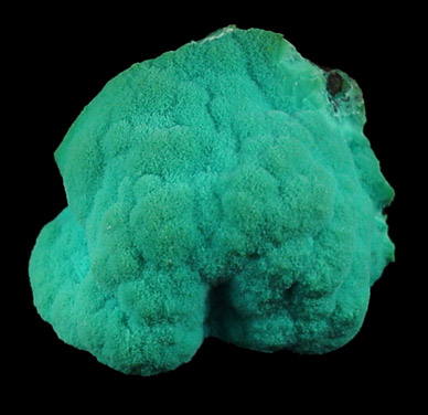 Chrysocolla from 79 Mine, Banner District, near Hayden, Gila County, Arizona