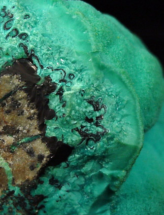 Chrysocolla from 79 Mine, Banner District, near Hayden, Gila County, Arizona