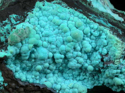 Chrysocolla from 79 Mine, Banner District, near Hayden, Gila County, Arizona