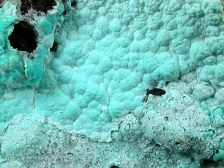 Chrysocolla and Aurichalcite from 79 Mine, Banner District, near Hayden, Gila County, Arizona