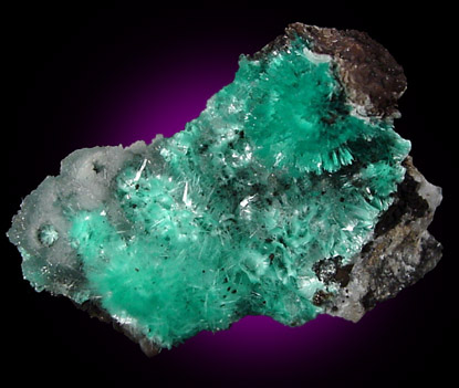 Aurichalcite from 79 Mine, Banner District, near Hayden, Gila County, Arizona