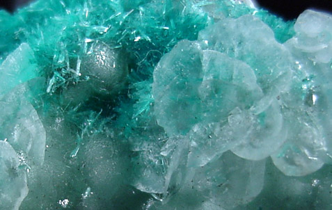 Aurichalcite from 79 Mine, Banner District, near Hayden, Gila County, Arizona