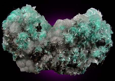 Aurichalcite and Hemimorphite from 79 Mine, Banner District, near Hayden, Gila County, Arizona