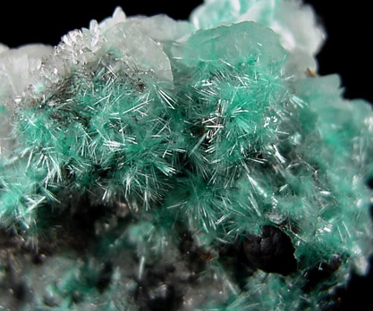 Aurichalcite and Hemimorphite from 79 Mine, Banner District, near Hayden, Gila County, Arizona