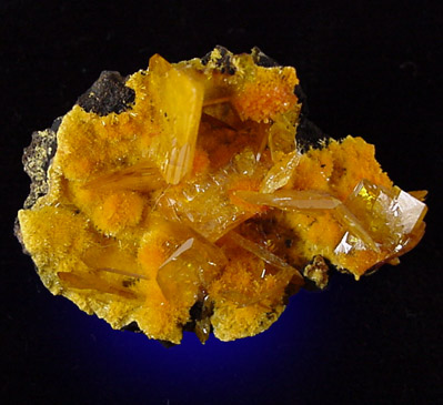 Wulfenite and Mimetite from San Francisco Mine, Sonora, Mexico