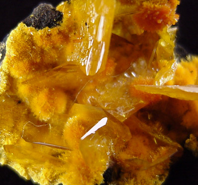 Wulfenite and Mimetite from San Francisco Mine, Sonora, Mexico