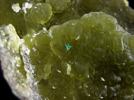 Smithsonite with Aurichalcite from 79 Mine, Banner District, near Hayden, Gila County, Arizona