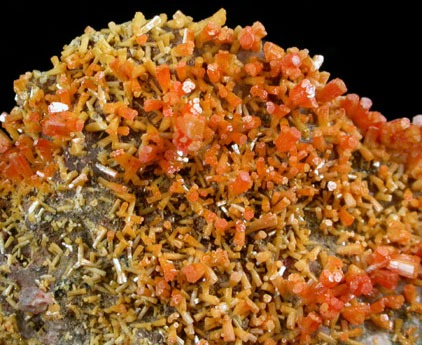 Vanadinite from Thunderbird Mine, Pinal County, Arizona