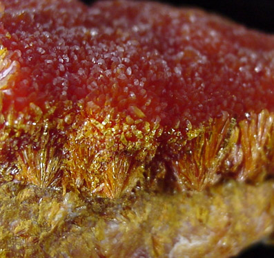 Orpiment from El'brusskiy Mine, 35 km NE of Mount Elbrus, Kabardino-Balkarian Republic, Russia