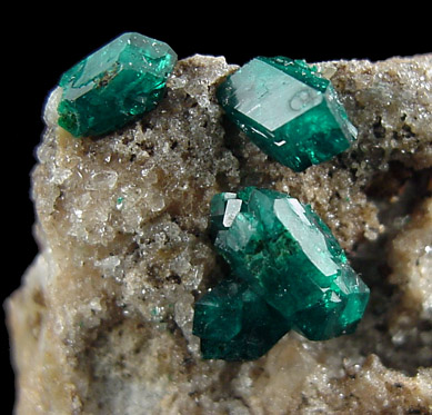 Dioptase from Altyn-Tyube, 66 km east of Karagandy, Karaganda Oblast', Kazakhstan (Type Locality for Dioptase)