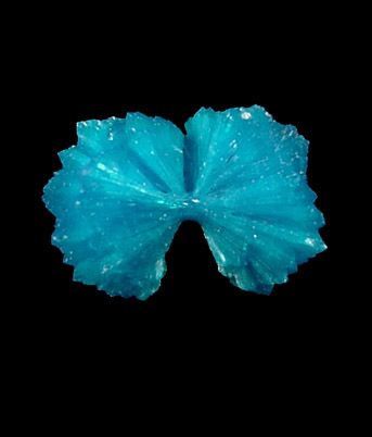 Cavansite from Wagholi Quarry, Maharashtra, India