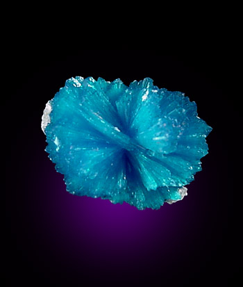 Cavansite from Wagholi Quarry, Maharashtra, India